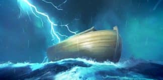 The Flood Board Game - Theology Nerds [TheoNerds.net]